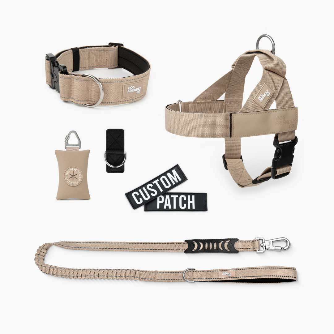 Ultimate No-Pull Bundle – Influencer Exclusive (Black)