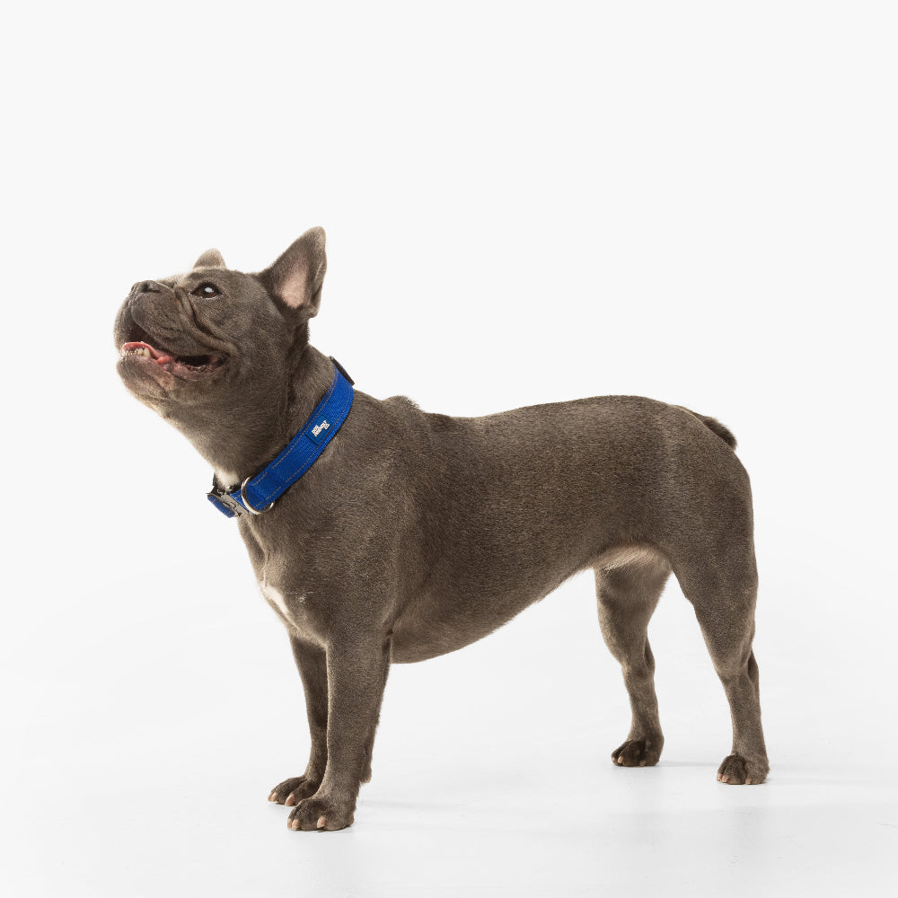 Ultimate No-Pull Bundle - Classic Blue