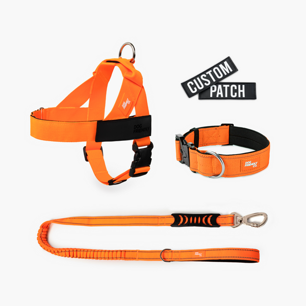Dog Lovers Pack