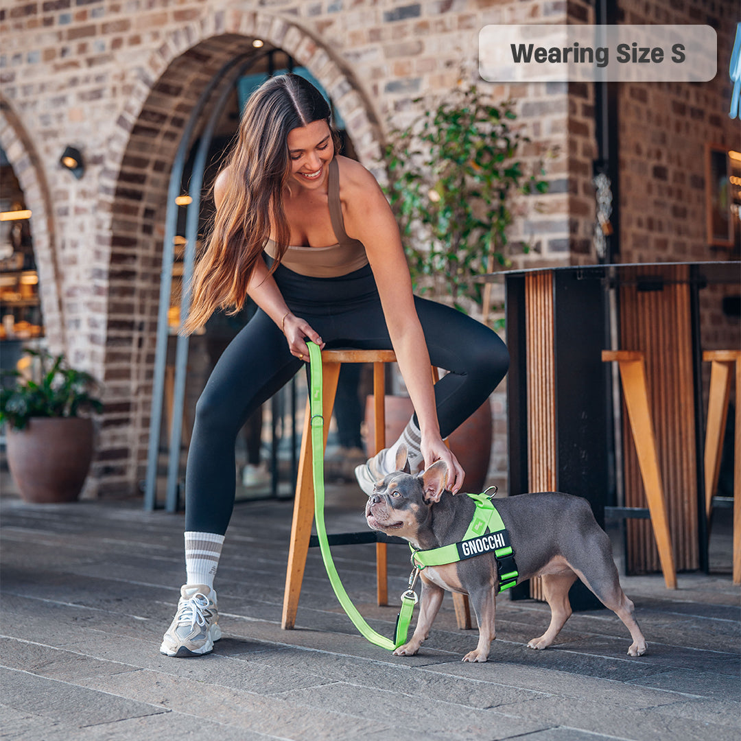 Signature Kit - Neon Green