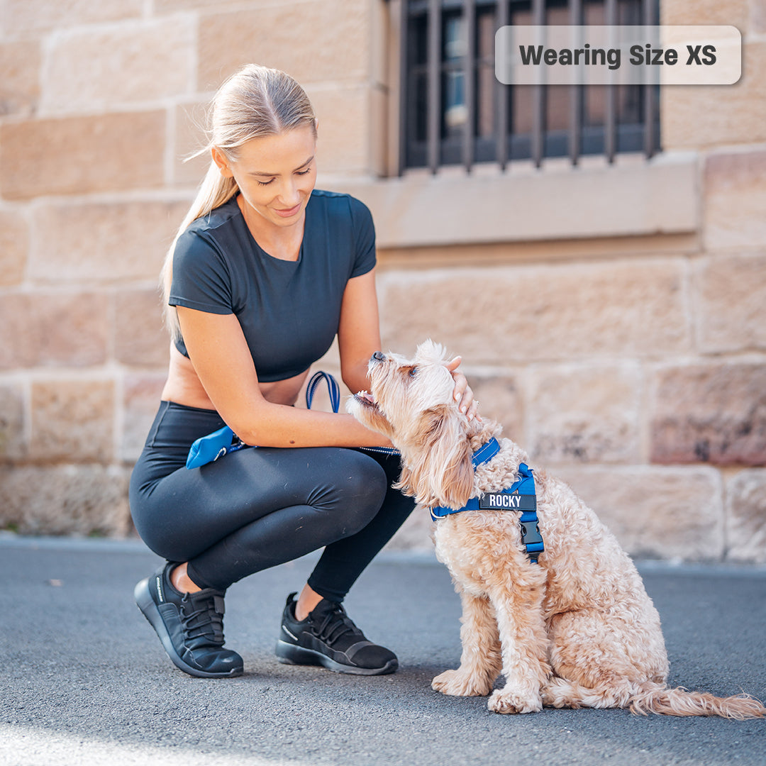 Dog Harness - Classic Blue