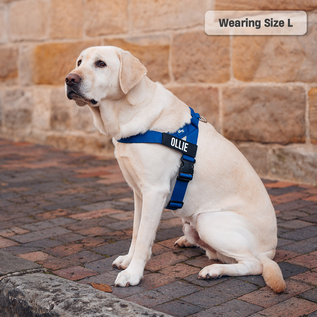 Dog Harness - Classic Blue