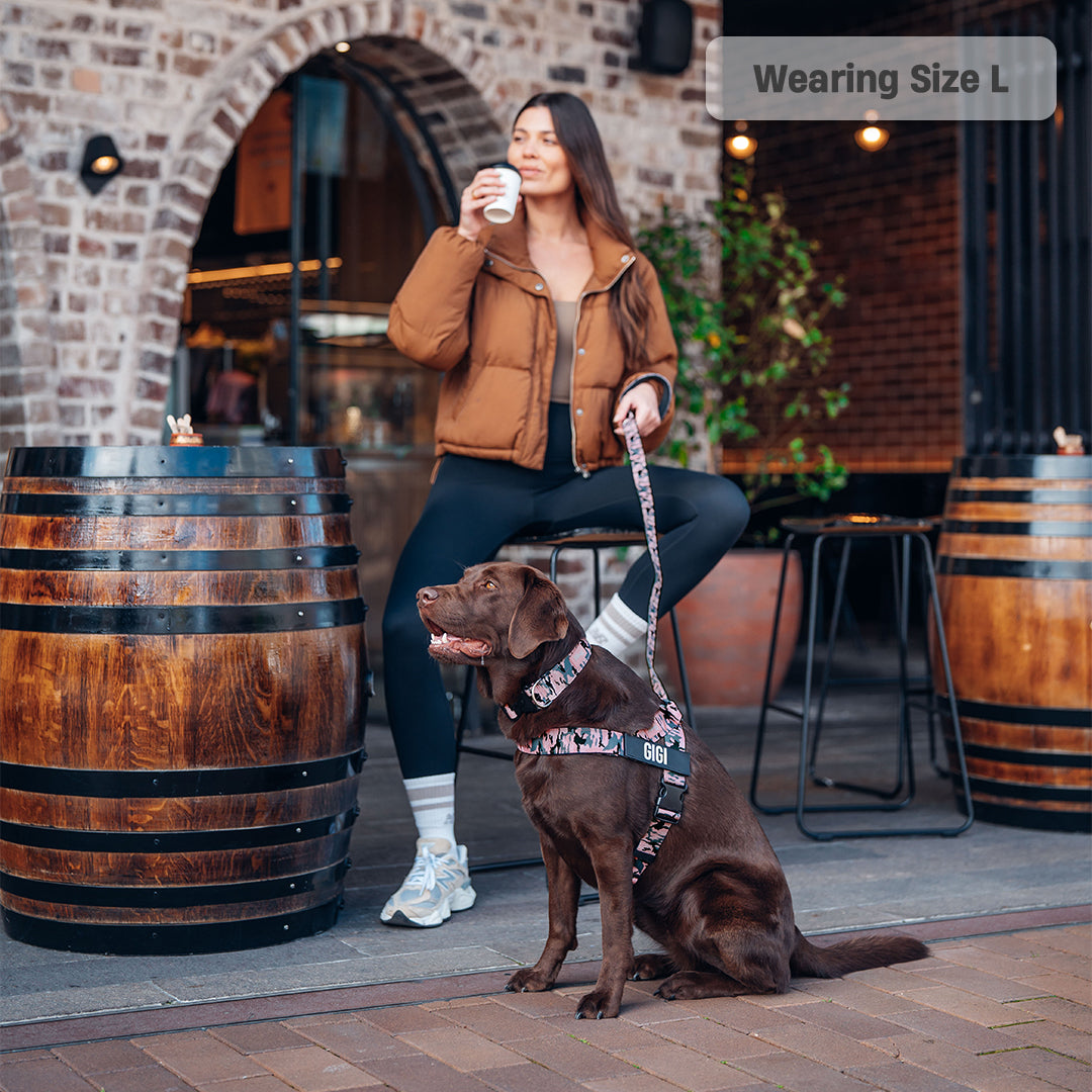 Dog Harness - Pink Camo