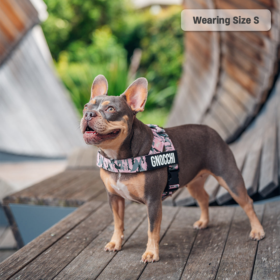 Dog Harness - Pink Camo