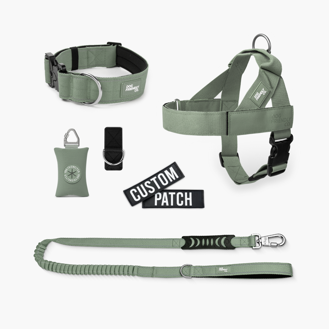 Ultimate No-Pull Bundle – Influencer Exclusive (Black)