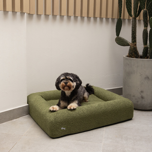 Premium Orthopedic Memory Foam Dog Bed - Green Bouclé (Small)