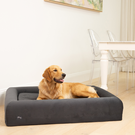 Premium Orthopedic Memory Foam Dog Bed - Charcoal (Small)