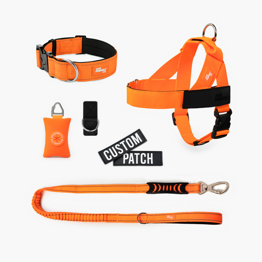 Ultimate No-Pull Bundle - Hi-Vis Orange