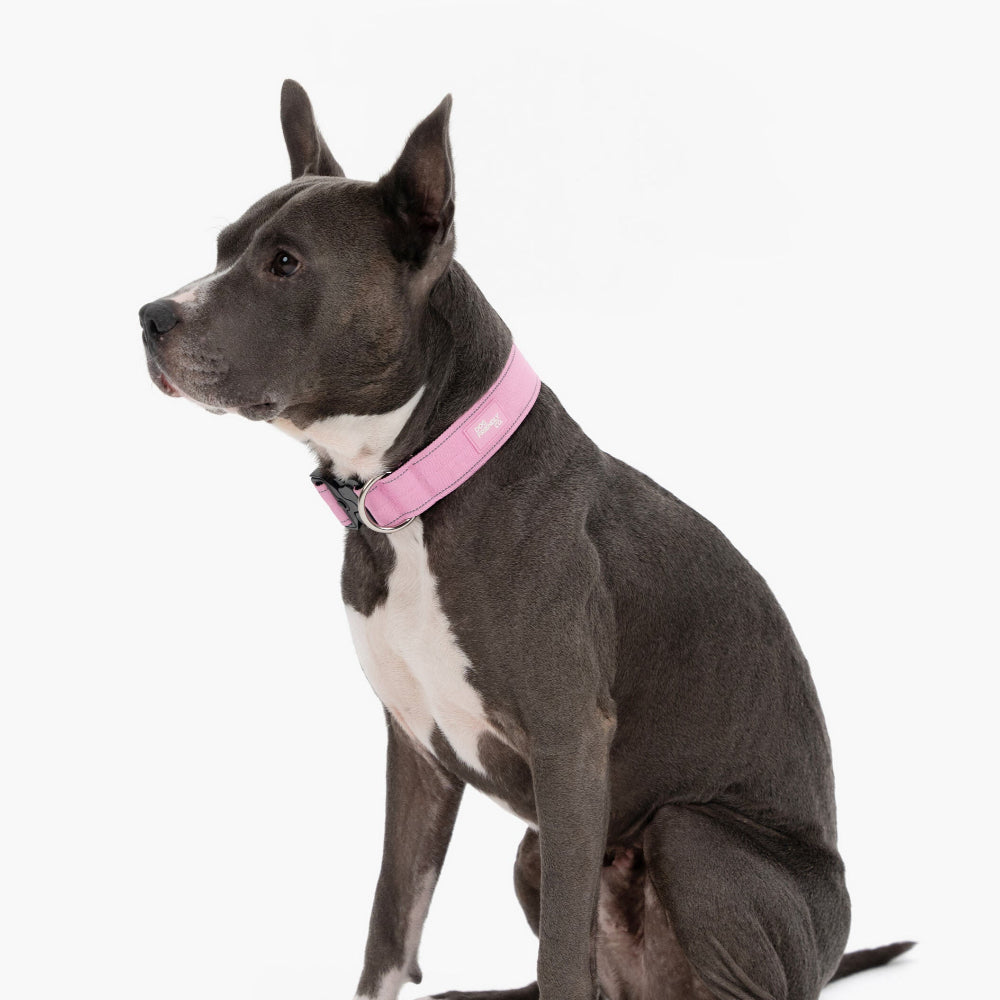 Ultimate No-Pull Bundle - Pink