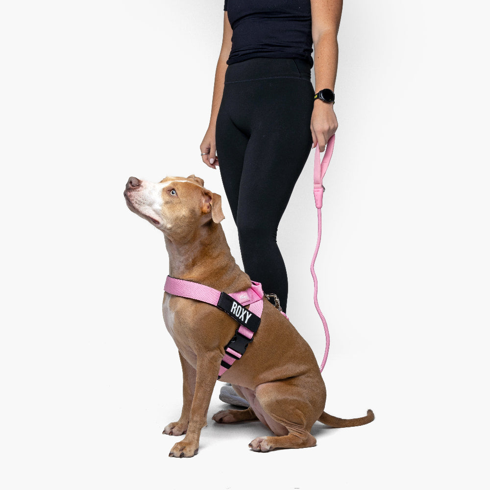 Signature Kit - Pink