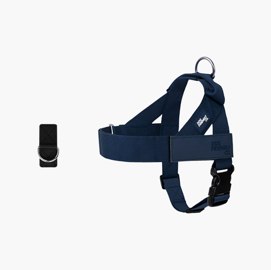 Dog Harness + FREE D-ring