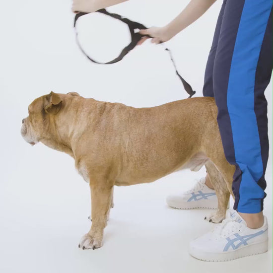 30c7867f46e9470784dc95120f7b09f9.HD-1080p-2.5Mbps-10168166.mp4