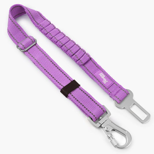Dog Seat Belt - Purple