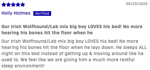 Customer review from Holly Holmes about her Irish Wolfhound and Lab mix no longer hearing his bones hit the floor.