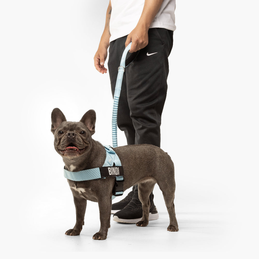 Ultimate No-Pull Bundle - Sky Blue