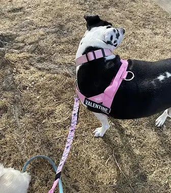 Grace K.