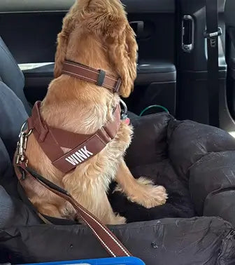 Regina B.