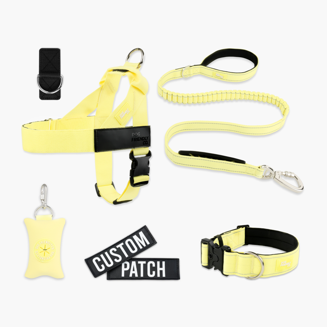 Ultimate No-Pull Bundle – Influencer Exclusive (Black)