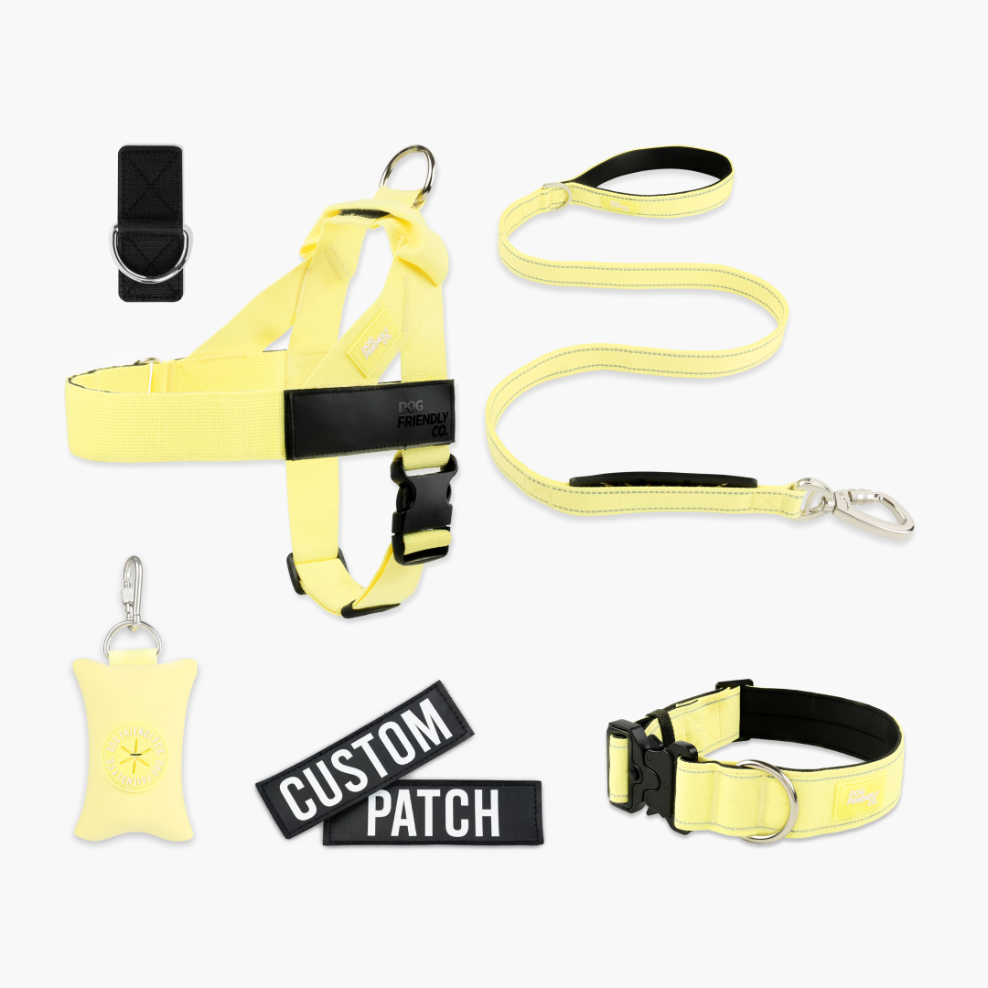 Ultimate No-Pull Bundle – Influencer Exclusive (Black)