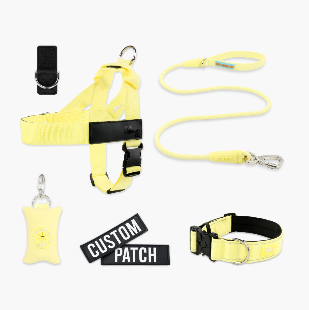 Ultimate No-Pull Bundle – Influencer Exclusive (Black)
