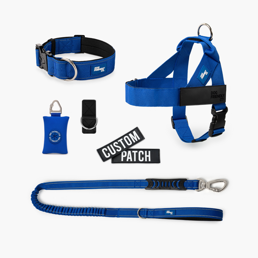 Ultimate No-Pull Bundle - Classic Blue