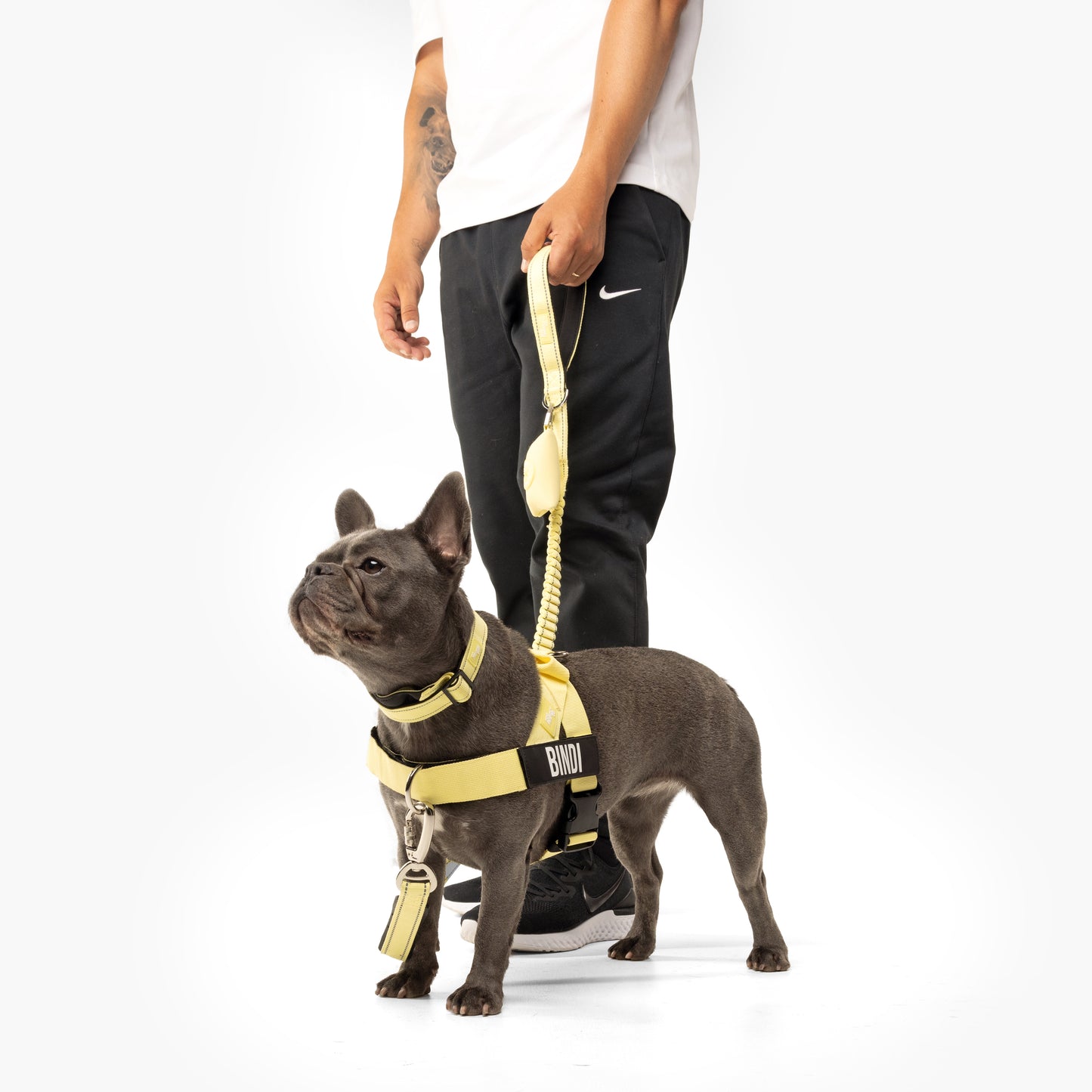 Dog Lovers Pack - Yellow